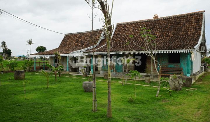 For Rent: Land Plus 2 Wooden Houses