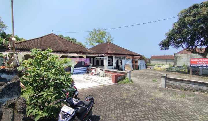 Land Land Lot, Tabanan