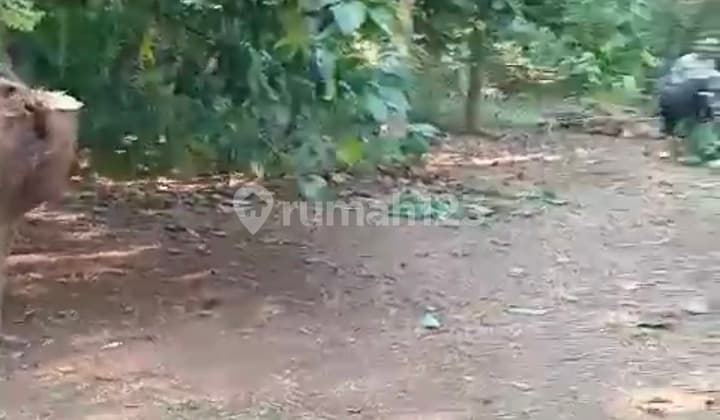 Jual Tanah Kebun Wanayasa Purwakarta , Cocok Villa/ Rumah dan Kebun. Udara Sejuk Tanah di Wanayasa SHM