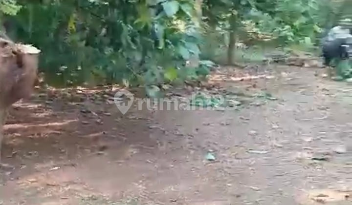 Jual Tanah Kebun Wanayasa Purwakarta , Cocok Villa/ Rumah dan Kebun. Udara Sejuk Tanah di Wanayasa SHM