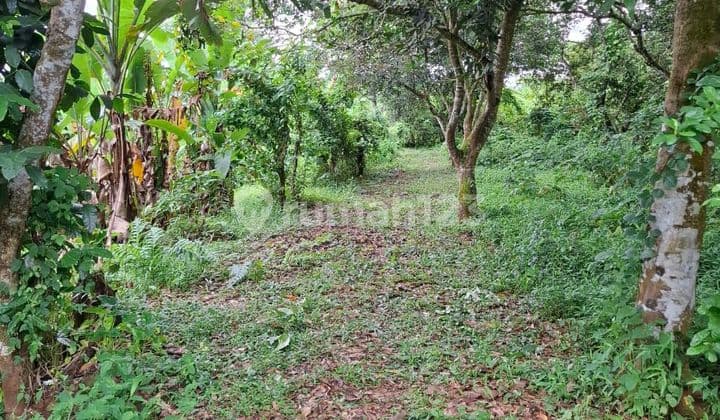 Price Still Low! Wide Plot with SHM in Tangerang