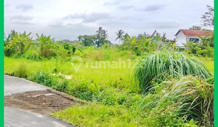 Tanah Jogja Dekat Pasar Gentan Kaliurang Siap Balik Nama