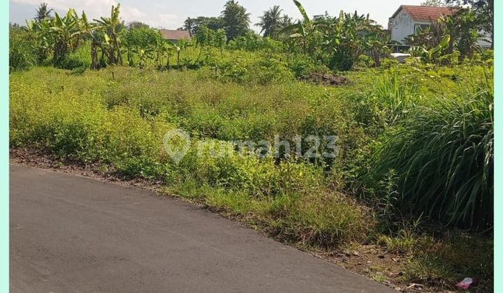 Tanah Jogja 200 Meter Dari Sd Bias Kaliurang Km10 Siap AJB Notaris