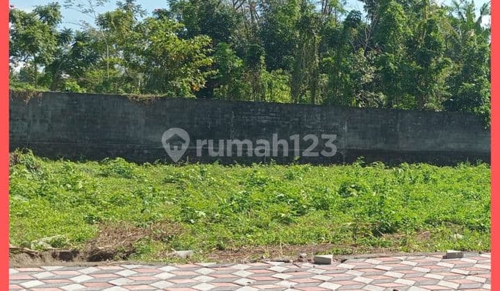 Tanah Jogja Kaliurang Cocok Kost Luas 316 M2 Dekat Uii