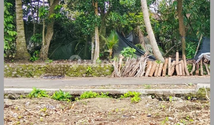Tanah Jogja 1Km Jl Palagan KM 14 SHM Pekarangan 2 Jt/Mtr