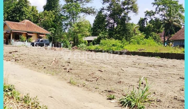 Tanah Jogja 5 Menit Dari Kampus Uii Kaliurang Km14 SHM