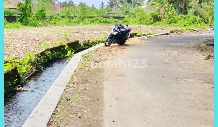 Land in Jogja Near SMAN 1 Ngaglik on Jl. Palagan, Freehold Title, Yard