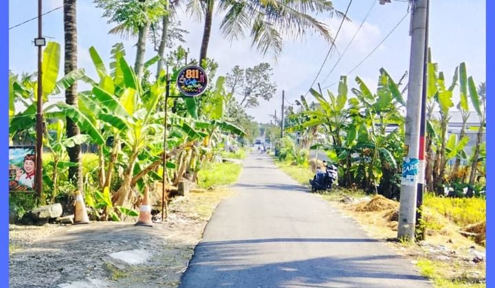 Tanah Jogja Sleman 300 Meter Dari Tengkelng Gajah Kaliurang