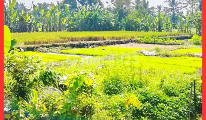 Tanah Jogja 2 Menit Pasar Gentan Jalan Kaliurang Km9