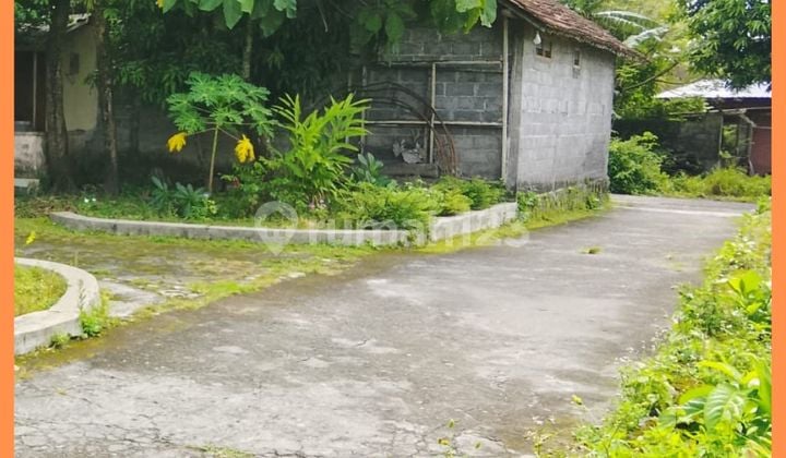 Tanah Jogja 200 Jutaan Timur Jl Palagan Km11 SHM Pekarangan