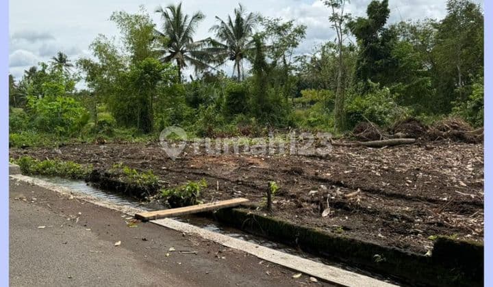 Tanah Jogja SHM Cocok Hunian Barat Jl Palagan KM 14