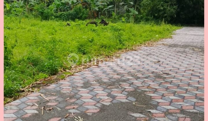 Tanah Jogja 1 KM Dari Kampus Uii Kaliurang Cocok Kost