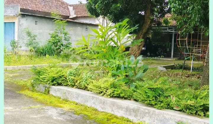 Tanah Jogja 200 Jutaan Area Jl Palagan KM 11 Rejodani SHM