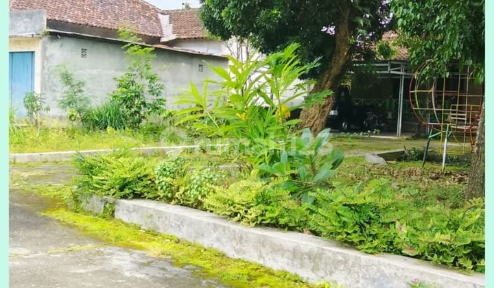 Tanah Jogja 200 Jutaan Area Jl Palagan KM 11 Rejodani SHM