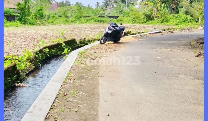 Tanah Jogja Area Jl Palagan 1 KM Spbu Balong SHM Pekarangan
