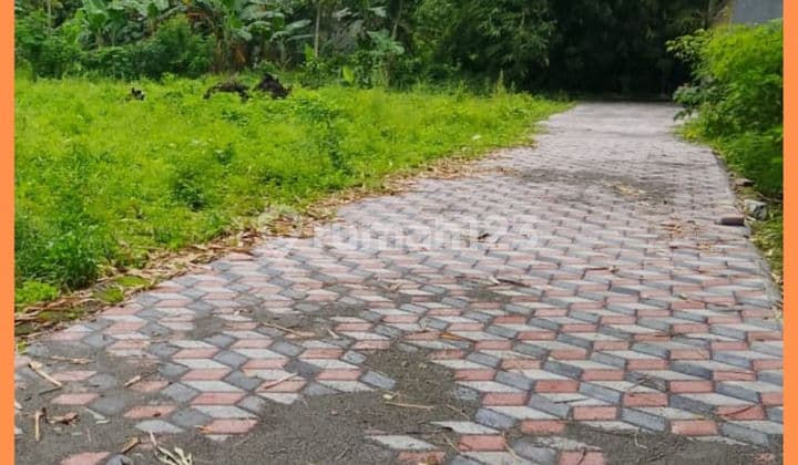 Tanah Jogja Siap Balik Nama 1 KM Dari Kampus Uii Kaliurang