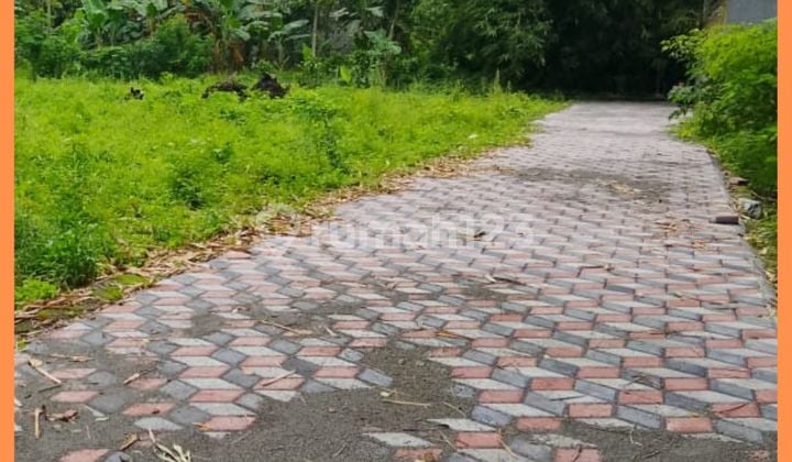 Yogyakarta Land Ready for Name Transfer 1 KM From UII Kaliurang Campus