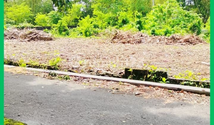 Tanah Jogja Barat Jalan Palagan KM 14 SHM Pekarangan