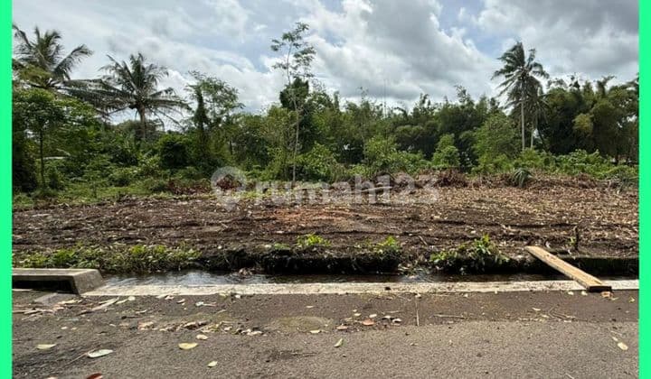 Tanah Jogja Mangku Jl Aspal 4 Menit Spbu Balong Jl Palagan