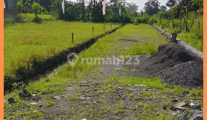 SHM Land, East Yard, Jl Kaliurang Km 10, Yogyakarta