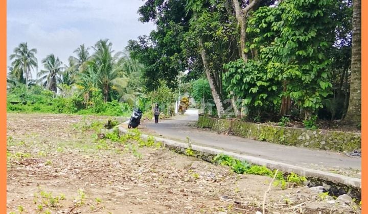 Tanah Jogja Barat Jl Palagan Km14 Cocok Hunian SHM Pekarangan