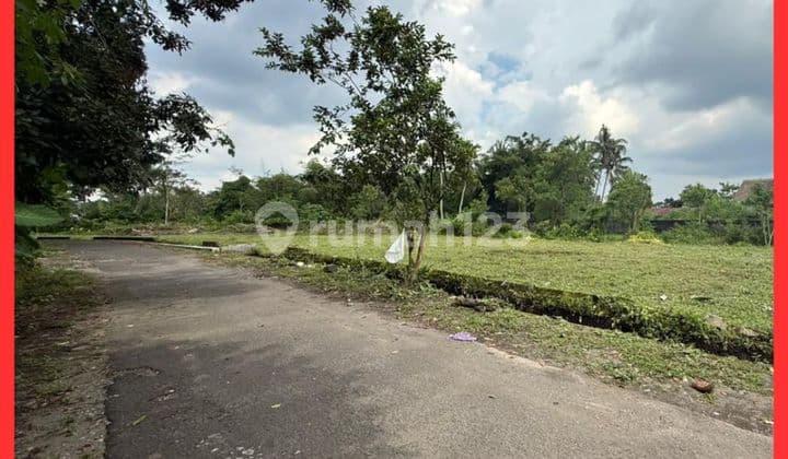 Tanah Sleman Murah Barat Jl Palagan Yogyakarta Shmp