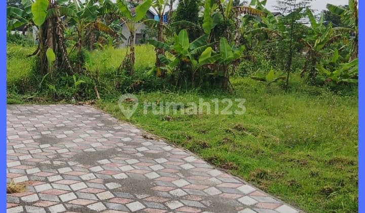 Tanah Jogja Dekat Pasar Stan Maguwoharjo Siap Balik Nama