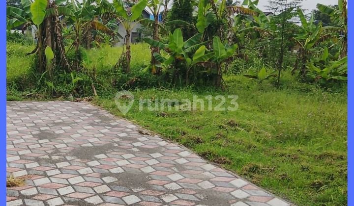 Tanah Jogja Dekat Pasar Stan Maguwoharjo Siap Balik Nama