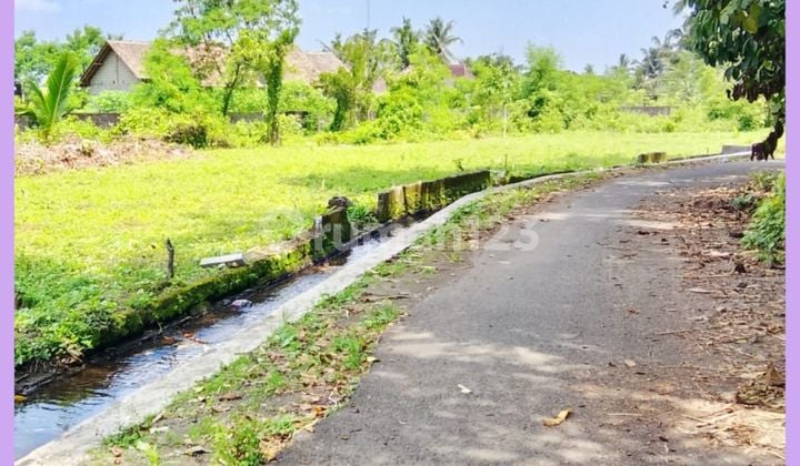 West Yogyakarta Land, Balong Palagan SPBU, SHM Pekarangan