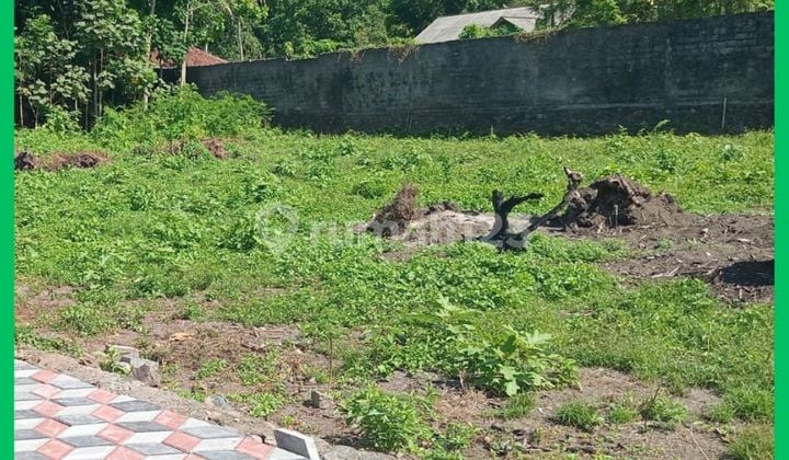 Tanah Kost Jogja 1Km Dari Kampus Uii Kaliurang Siap AJB
