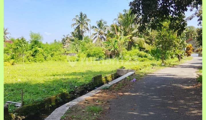 Land near Palagan, West Yogyakarta at the Intersection of Jl Balong