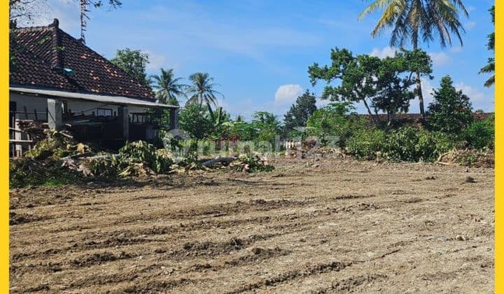 Tanah Jogja Dekat Kampus Islam Mulia Gamping Yogyakarta