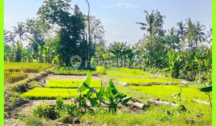 Tanah Jogja Kaliurang 2 Menit Dari Pasar Gentan SHM