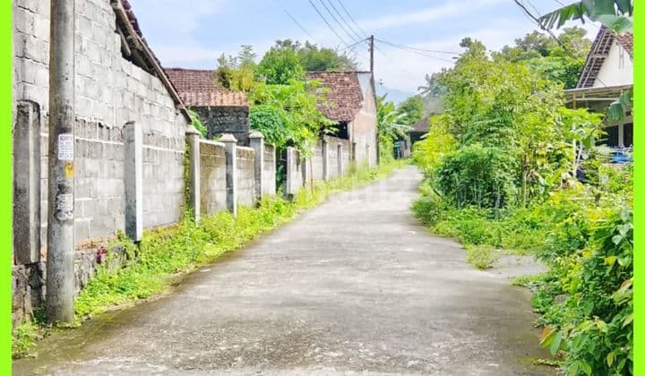 Tanah Jogja SHM Pekarangan Palagan Dekat Pasar Rejodani