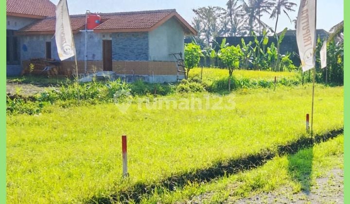 Tanah Jogja Timur Pasar Gentan View Pesawahan SHM Pekarangan