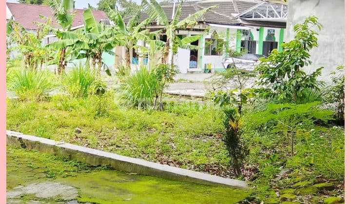 Yogyakarta Land Area Jl Palagan Km11 North of Rejodani Market