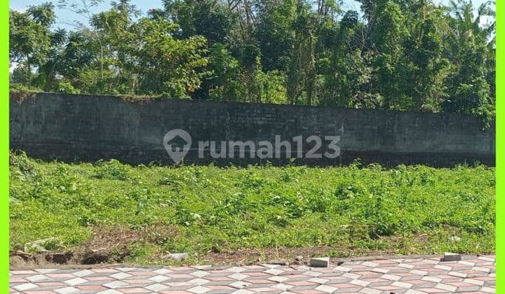 Tanah Jogja Kaliurang 1Km Dari Kampus Uii SHM