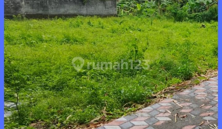 Tanah Jogja Area Kampus Uii Kaliurang Siap Balik Nama Shmp