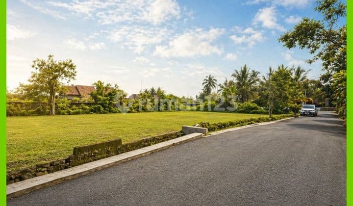 Tanah Jogja Area Jl Palagan Utara Pasar Rejodani Shmp