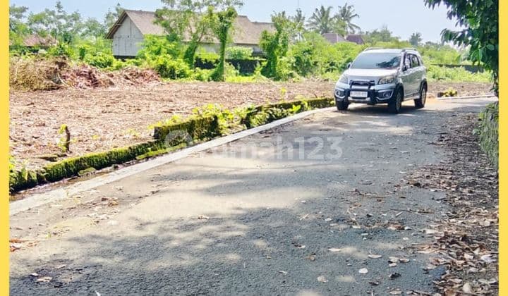 Tanah Jogja Barat Jl Palagan Km14 Murah Cocok Hunian & Investasi