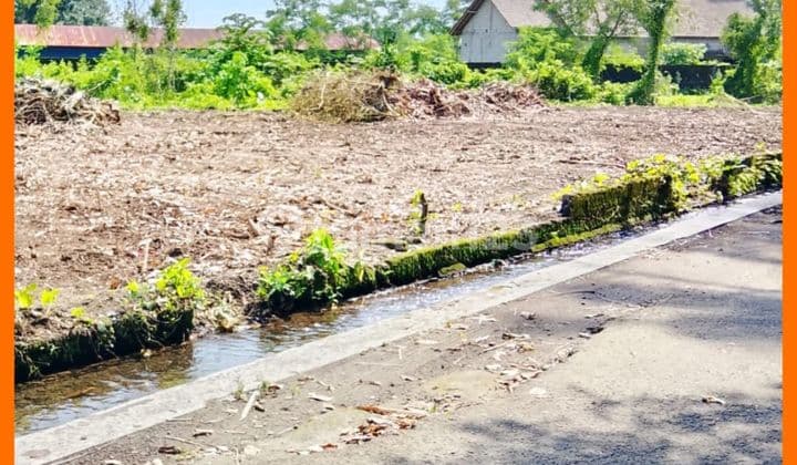 Tanah Murah 2 Jt/Mtr Utara Pasar Rejodani Palagan
