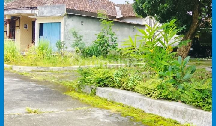 Tanah Jogja 500 Meter Jl Rejodani Timur Palagan Km11