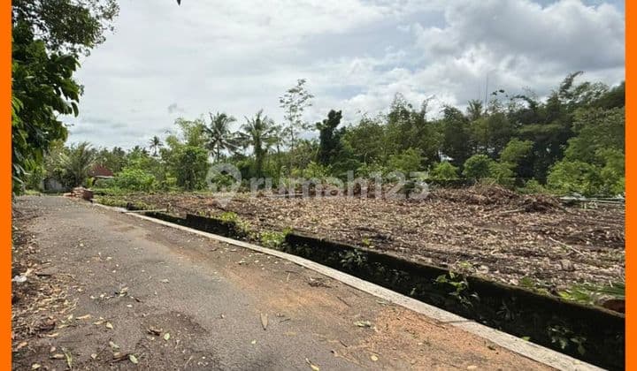 Tanah Jogja SHM Pekarangan Barat Jl Palagan 2Jt/Mtr