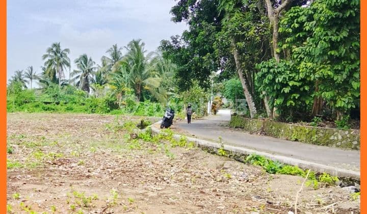 Land Area Jl Palagan Yogyakarta Mangku Asphalt Road