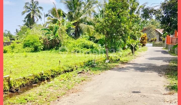 Tanah SHM Pekarangan Barat Jl Palagan Jogja Sleman