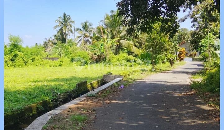Tanah Jogja Area Barat Jl Palagan Dekat Perempatan Balong