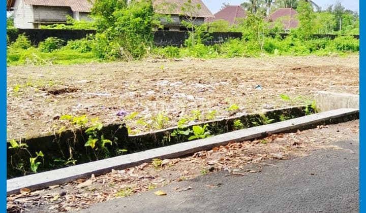 Tanah Jogja Barat Palagan 2 Jt/Mtr Mangku Jl Aspal