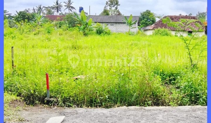 Tanah Jogja Shmp Ready 5 Menit Dari Pasar Gentan Kaliurang