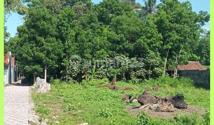 Tanah Jogja Kaliurang Cocok Kost 4 Menit Kampus Uii