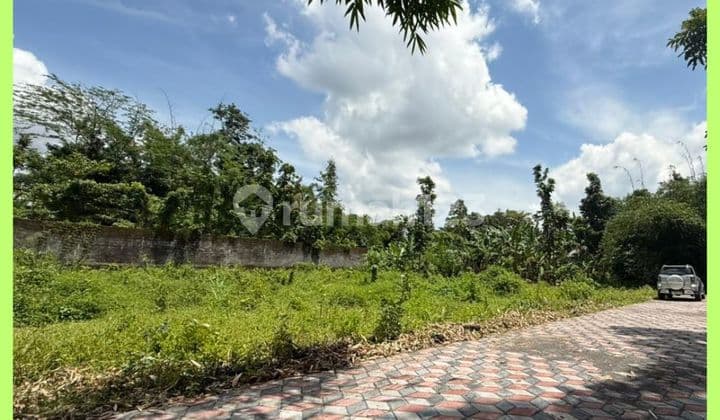 Tanah Jogja 4 Menit Dari Kampus Uii Kaliurang SHM Pekarangan